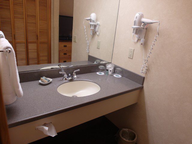 Wash basin and hair dryer Heathman Lodge Washington Vancouver