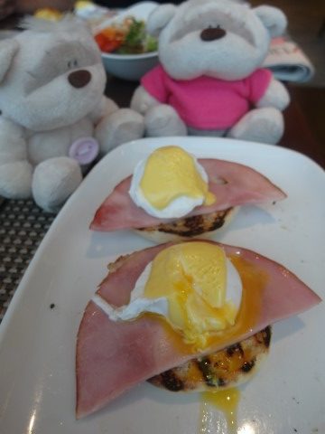 2bearbear enjoying Eggs Benedict for breakfast
