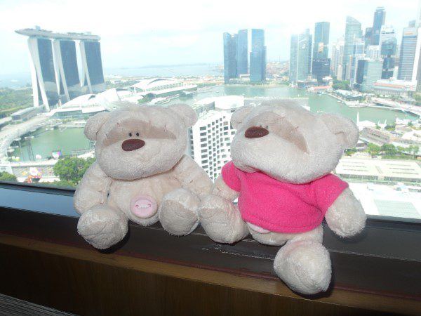 2bearbear enjoying the views from Pan Pacific Harbour Studio Room