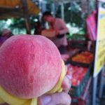 Sweet, tasty and beautiful peach in Taoyuan (Shui Mi Tao)