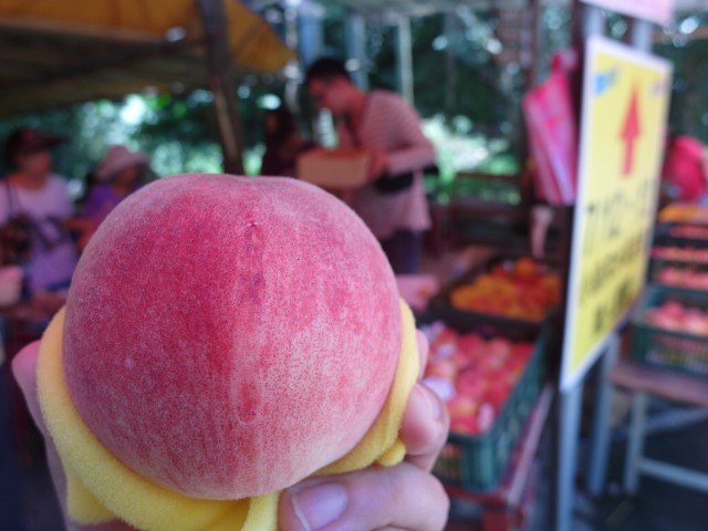 Sweet, tasty and beautiful peach in Taoyuan (Shui Mi Tao)