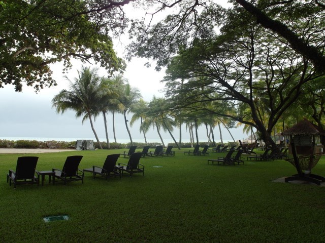  Greenery by the beach at Rasa Sayang