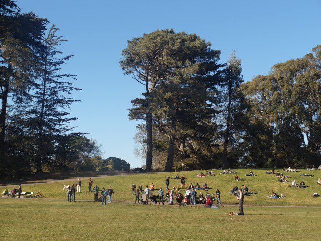 Golden Gate Park San Francisco