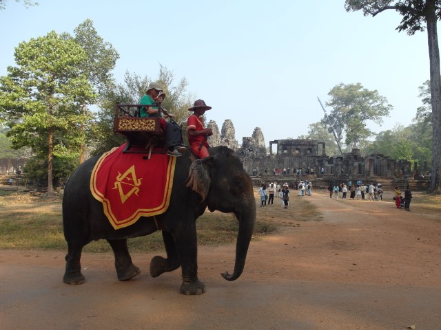 Elephant Rides at Bayon Temple