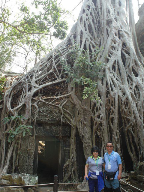 Angkor Thom spot featured in Tomb Raider with Angelina Jolie