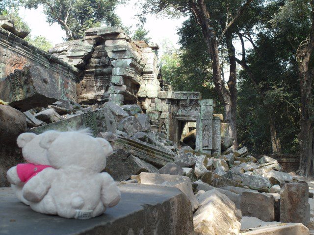 2bearbear @ BAnkor Thom Temple Siem Reap Cambodia