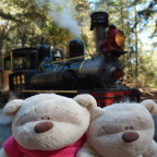 Roaring Camp Redwood Forest Steam Train