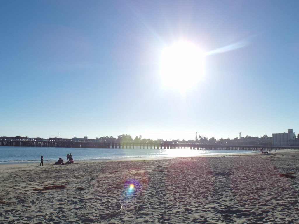 Santa Cruz Beach and Wharf