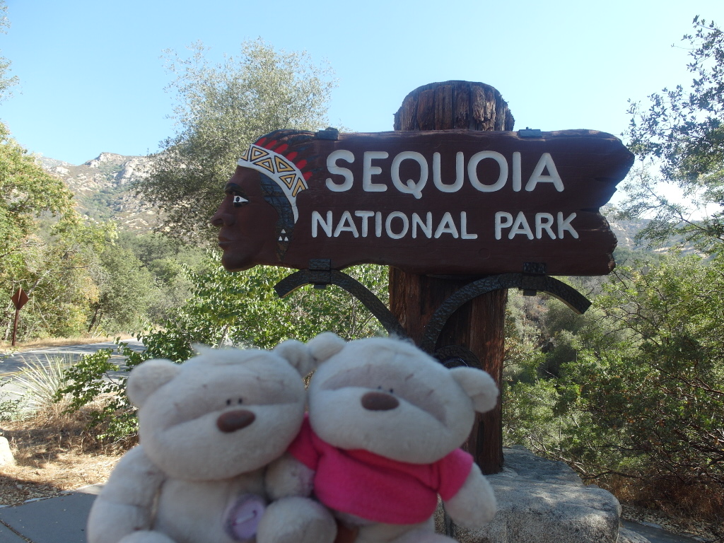 Sequoia National Park 2bearbear