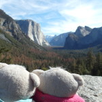 2bearbear @ Yosemite National Park