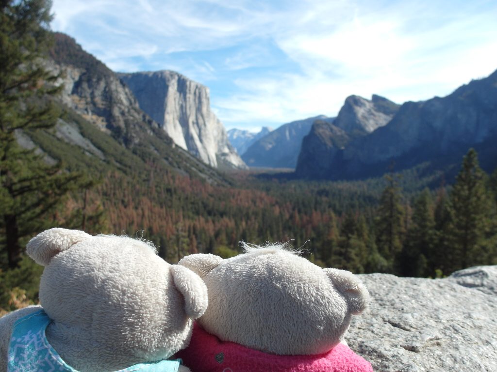 2bearbear @ Yosemite National Park