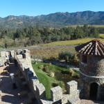 View of vineyard from tower of Castello di Amorosa Napa Valley