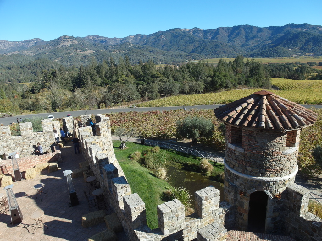 View of vineyard from tower of Castello di Amorosa Napa Valley
