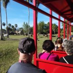 Train moves close to the animals