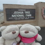 Entrance Joshua Tree National Park