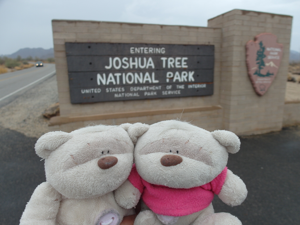 Entrance Joshua Tree National Park