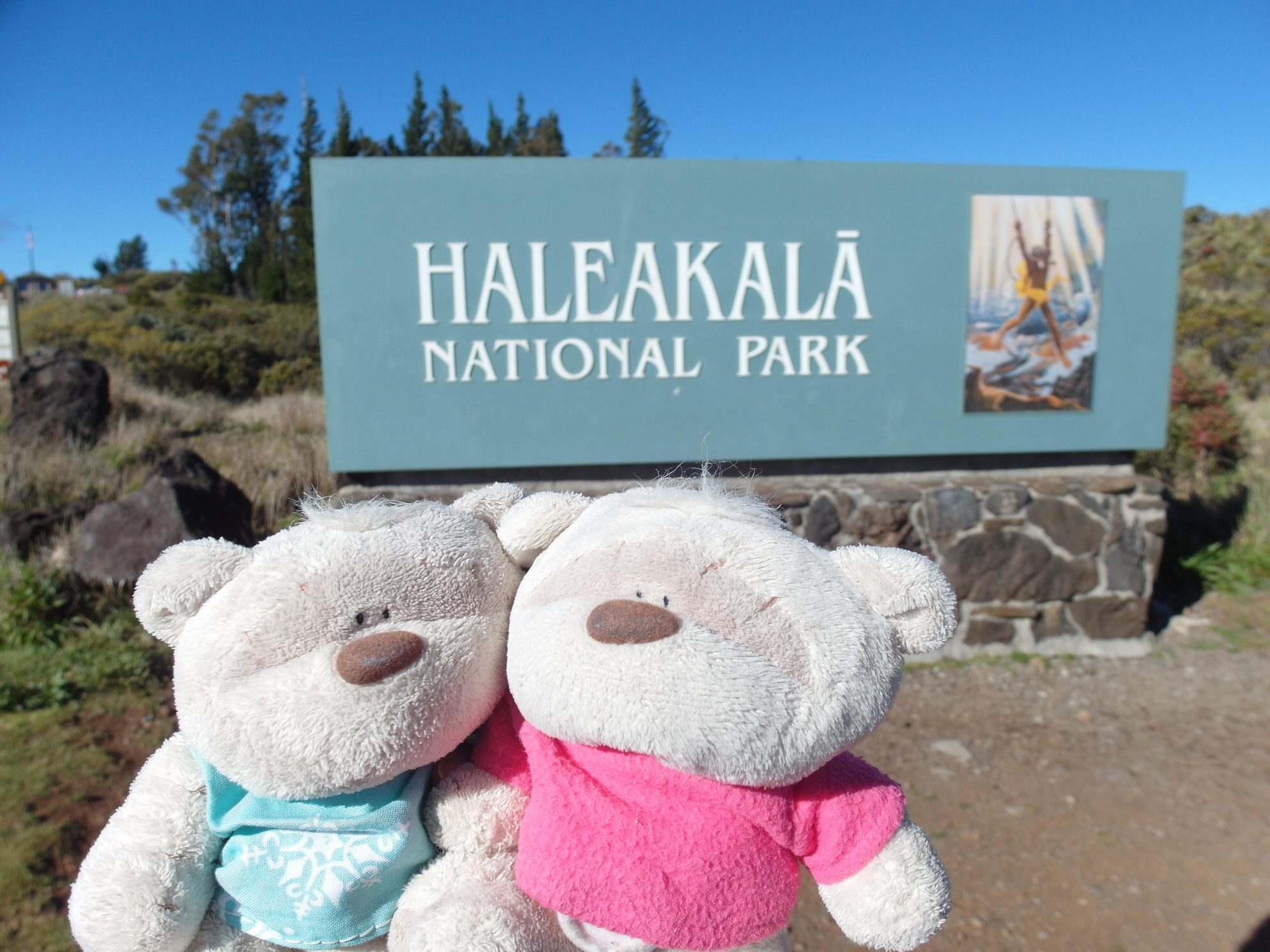 Haleakala National Park Maui Hawaii