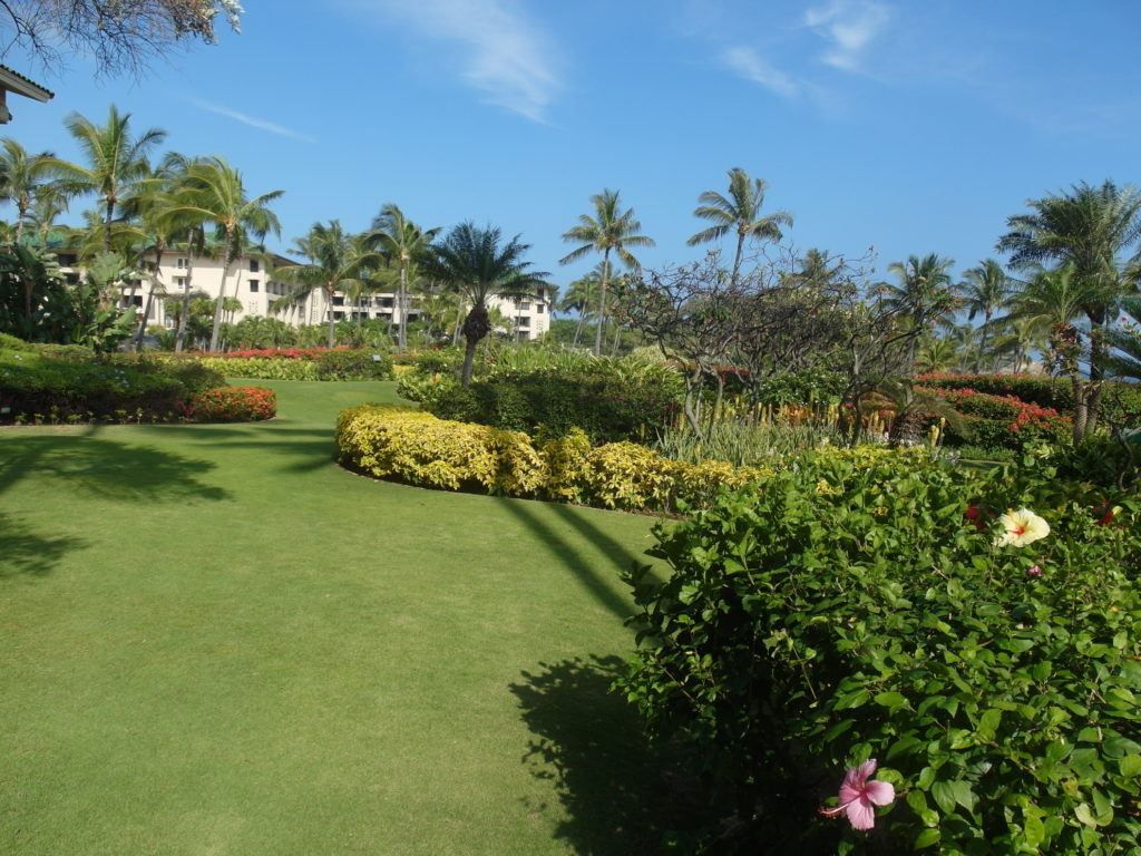 Luscious Greenery of Grand Hyatt Resort & Spa Kauai