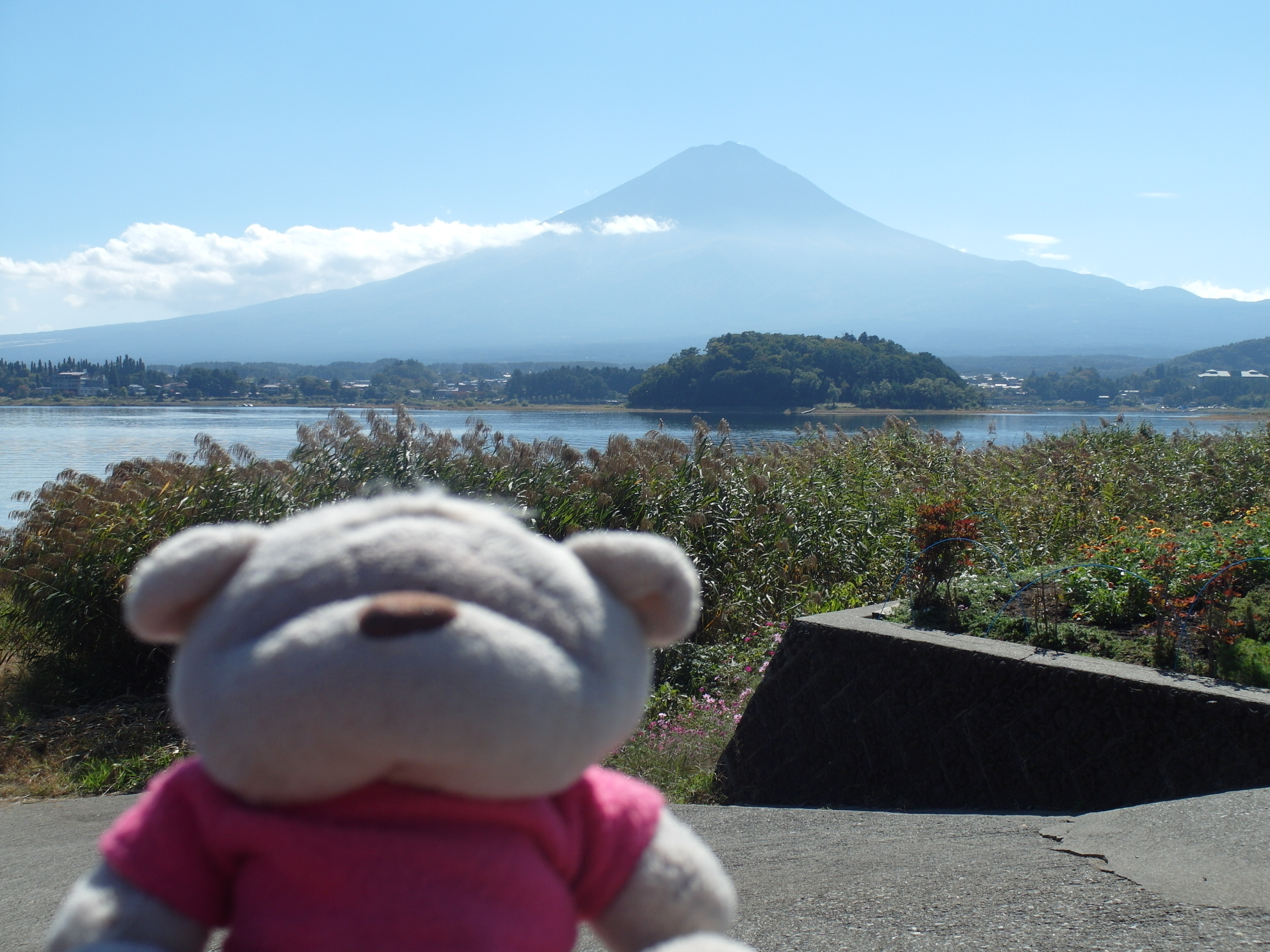 Garden, Lake Kawaguchiko and Mount Fuji Shot