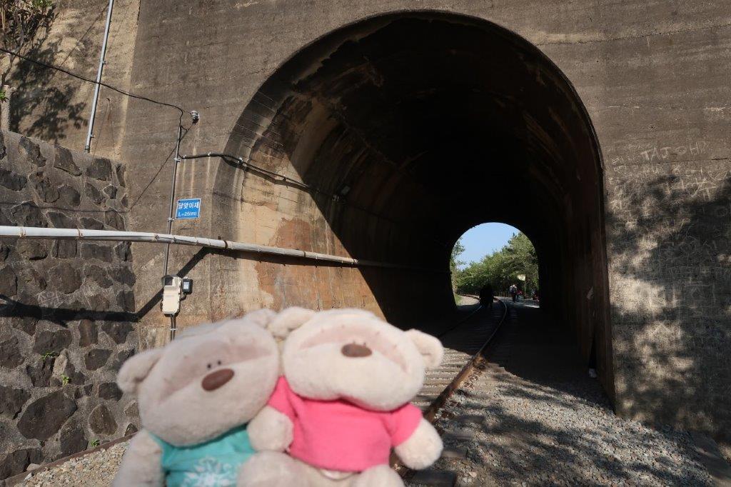 2bearbear @ Haeundae Beach Railway Tunnel enroute to Dalmaji Hill