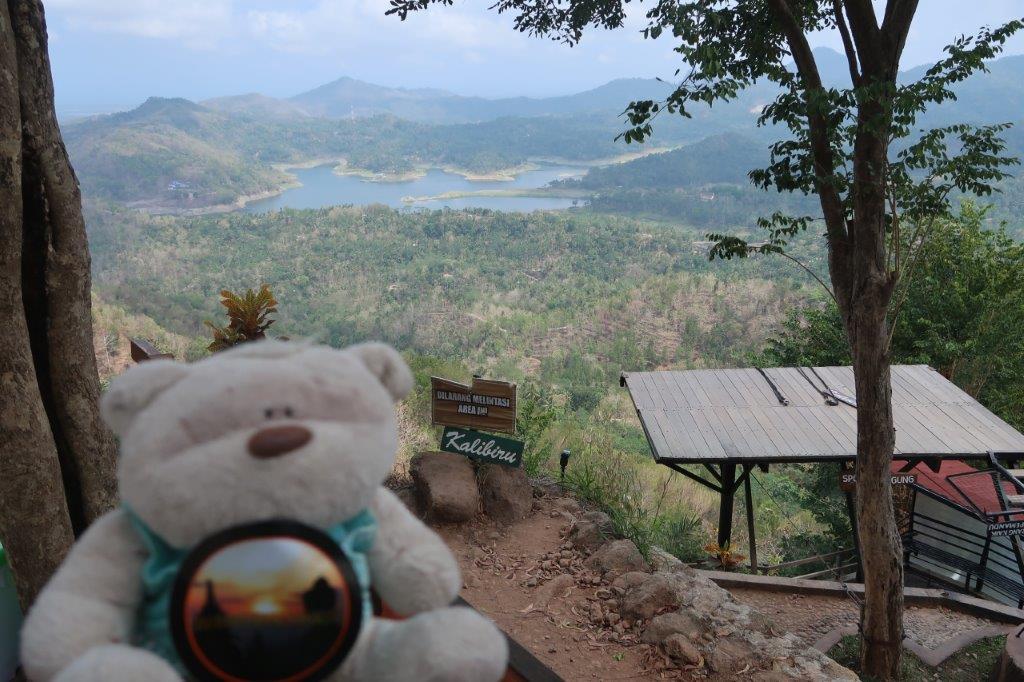 2bearbear @ Kalibiru National Park Yogyakarta