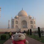 2bearbear at Taj Mahal - can you see that the minarets are slightly slanted?