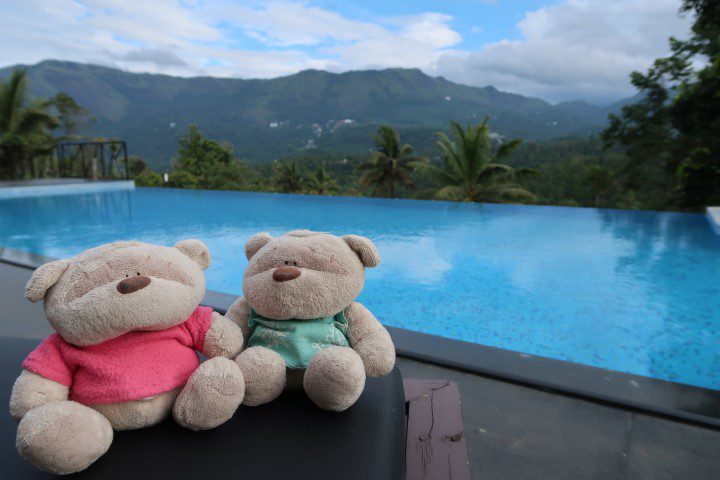 The Leaf Munnar Swimming Pool