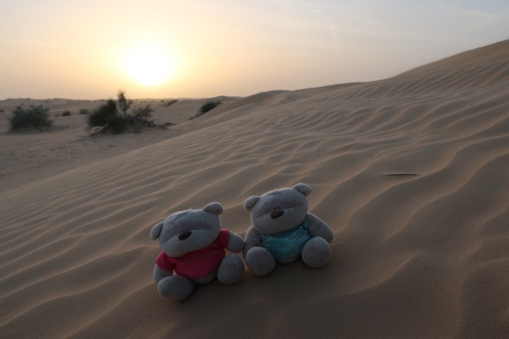 2bearbear in Dubai Desert during sunset