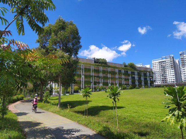 Oasis Terraces Punggol (Oasis LRT)