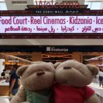 Some of the things you can do at Dubai Mall
