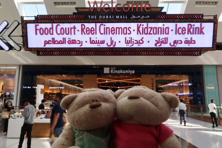 Some of the things you can do at Dubai Mall