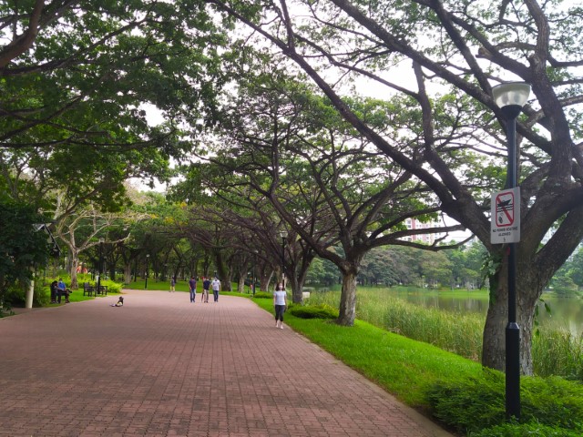 Large spacious paths in Punggol Park