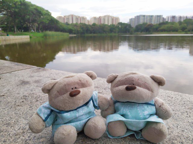 Punggol Park Pond