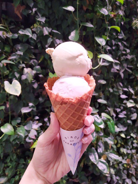 Earl Grey Lemongrass and Strawberry Basil Gelato from Birds of Paradise Jewel