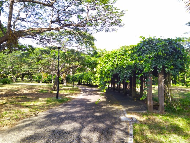 Nice pathways at Pasir Ris Park