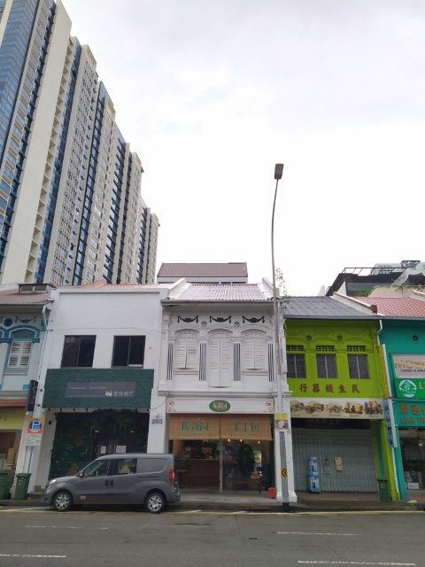 Chin Sin Huan 振新园 Handmade Pau Jalan Besar