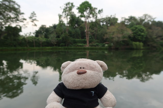 2bearbear at Swan Lake , Singapore Botanic Gardens