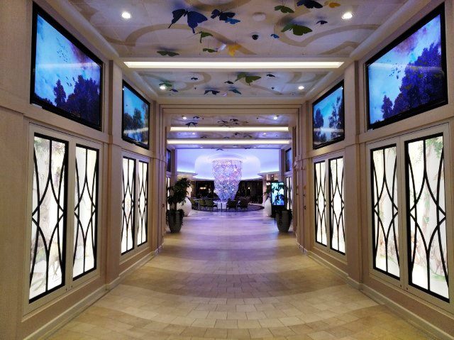 Beautiful butterfly-themed walkway at Deck 5 Quantum of the Seas (Deck 5 is where all the Specialty Dining Restaurants are located)