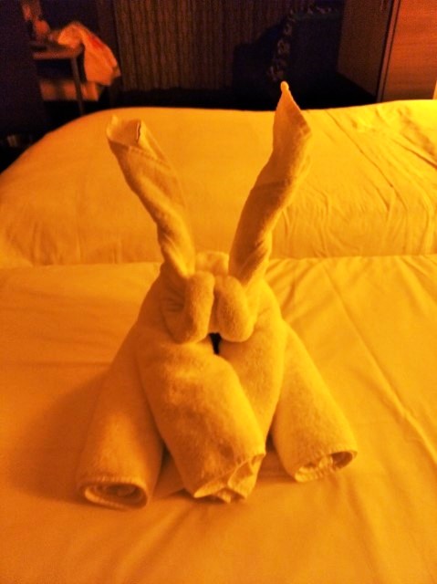 Rabbit Towel Art in our Balcony State Room - Royal Caribbean Cruise Cruise to Nowhere