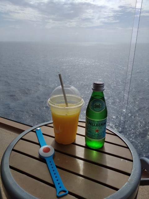 Refreshment Package Quantum of the Seas Royal Caribbean Cruise review