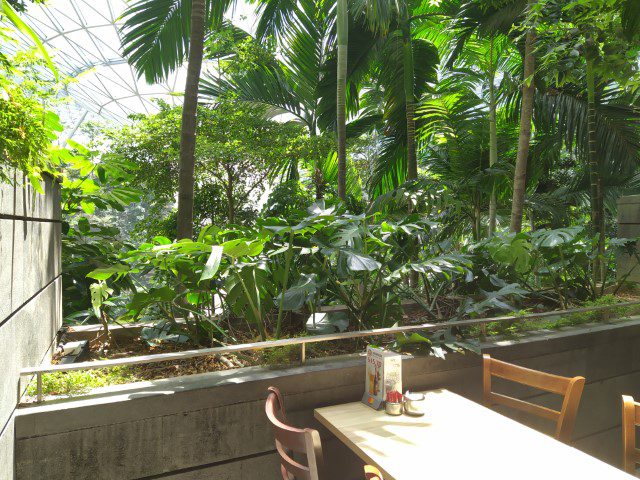 View of Rain Vortex from Jack's Place Jewel Changi Airport