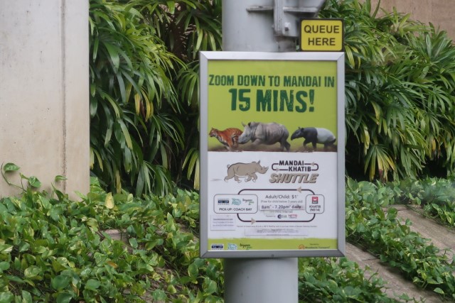 Mandai Khatib Shuttle: Takes you from Khatib MRT to the Singapore Zoo / Night Safari