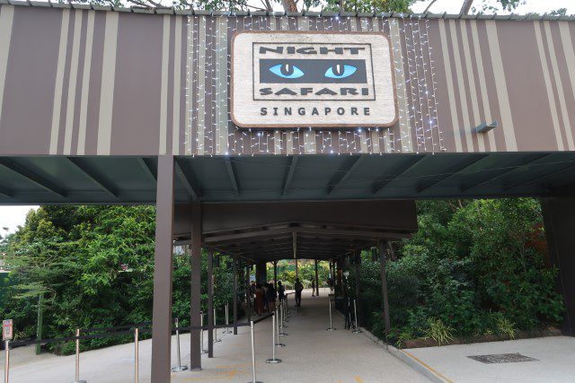 Night Safari Singapore Review