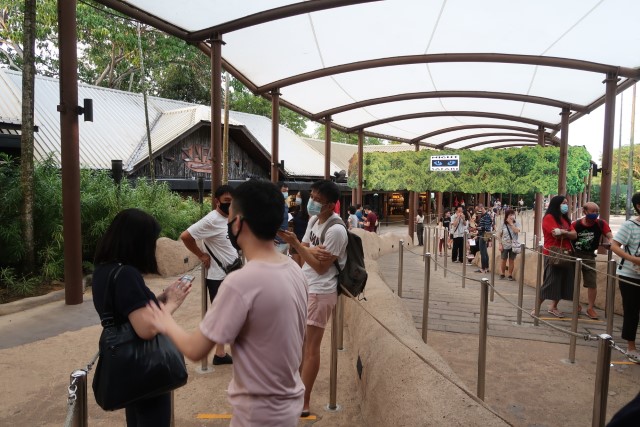 Queues to enter Night Safari at opening time of 6:30pm