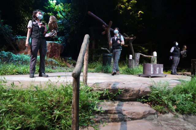 The two owls during Creatures of the Night show at Night Safari