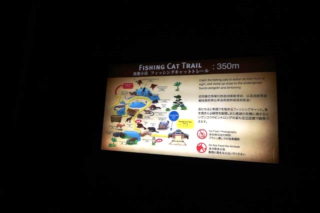 Fishing Cat Trail Map Night Safari Singapore