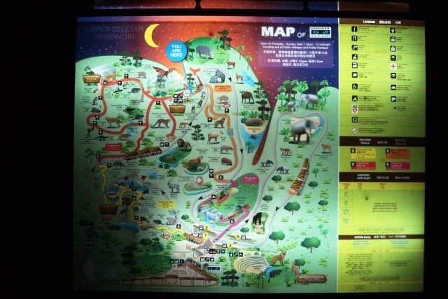Night Safari Singapore Map