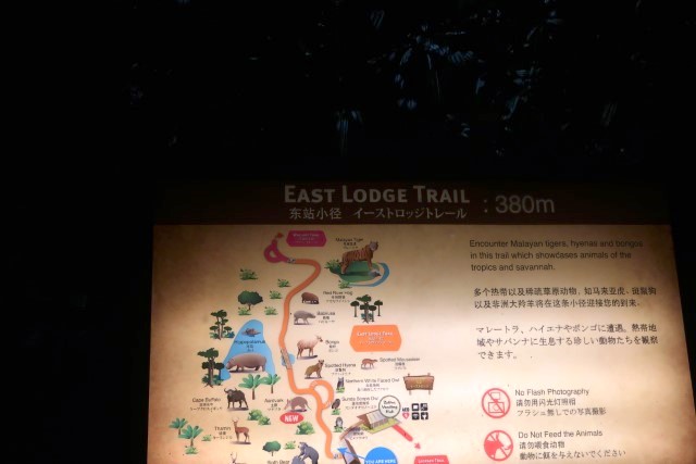 East Lodge Trail Map Night Safari