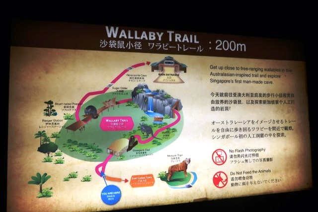 Wallaby Trail Night Safari Singapore