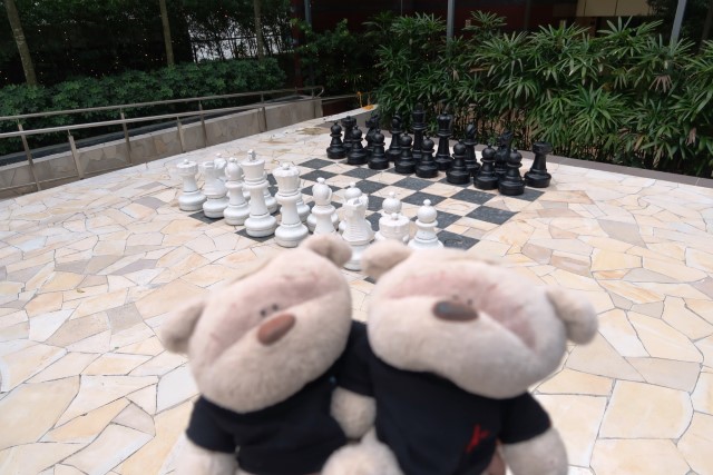 Life-size chess pieces at swimming pool area of Orchard Hotel